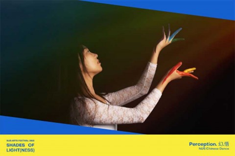Perception. 幻.悟 (NUS Arts Festival 2022)