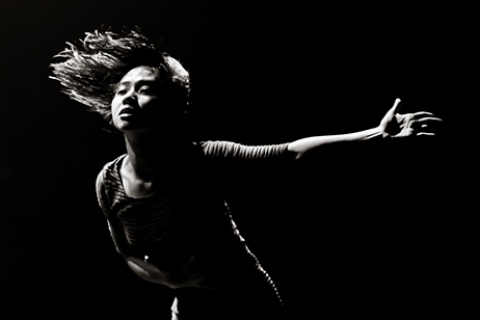 CONTACT 2013: A dancer’s perspective