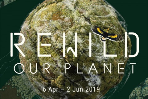 REWILD Our Planet