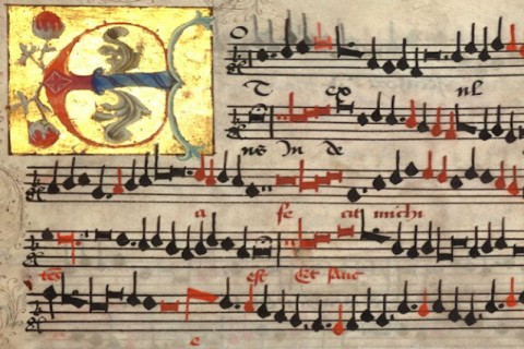From Obligation to Treason: The Assumption in Tudor England (at Church of Saints Peter and Paul)