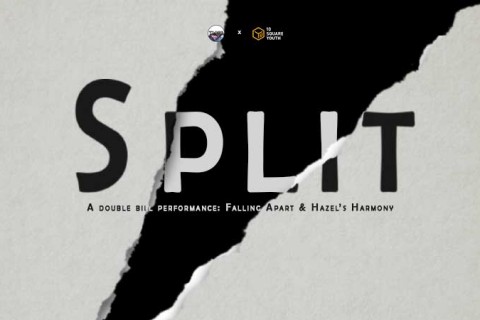 SPLIT 2020