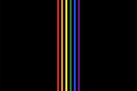 Queers Vol 1