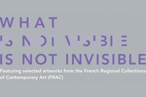 What is Not Visible is Not Invisible: Featuring selected artworks from the French Regional Collections of Contemporary Art (FRAC)