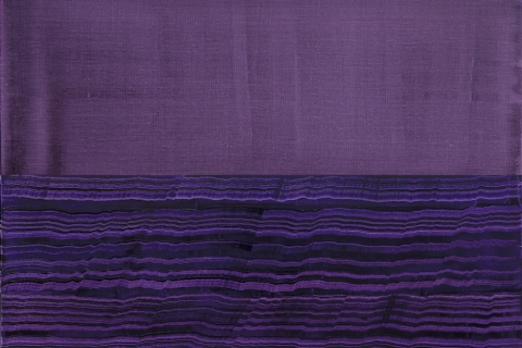 Ricardo Mazal: Violeta + Bhutan 