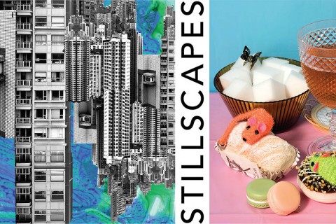 Art Exhibition: Stillscapes