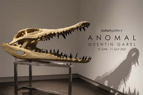 Anomal: Quentin Garel