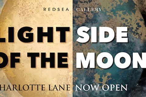 Light Side Of The Moon
