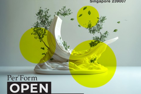 Per°Form Open Academy of Arts and Activations 2025 (POA)