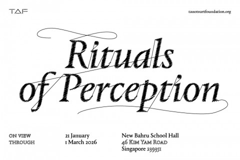 Rituals of Perception