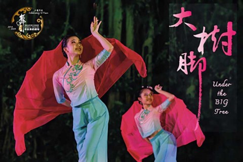 Under the BIG Tree 2024