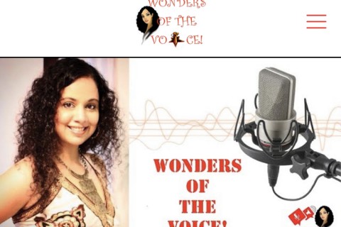 Wonders of the Voice - Beginners Guide