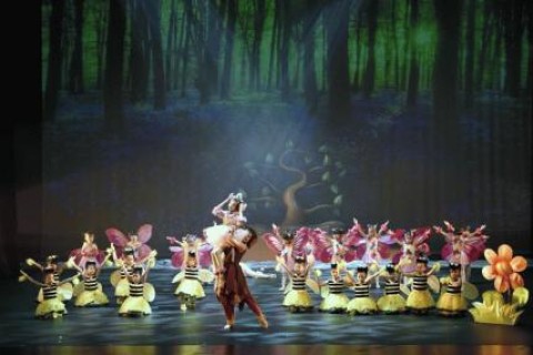 《大树脚》Under the BIG Tree 2018