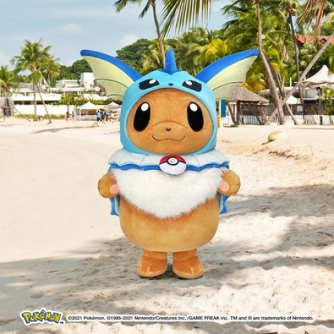 Eevee Dance Parade with Evolution Poncho
