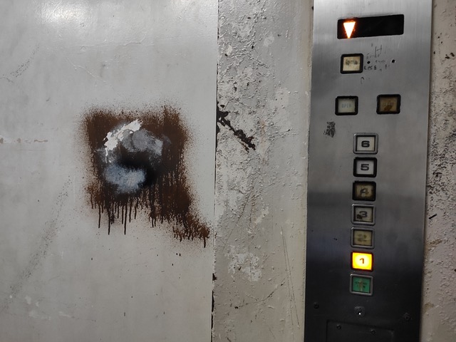 11 20200823 review in the breathing light 03