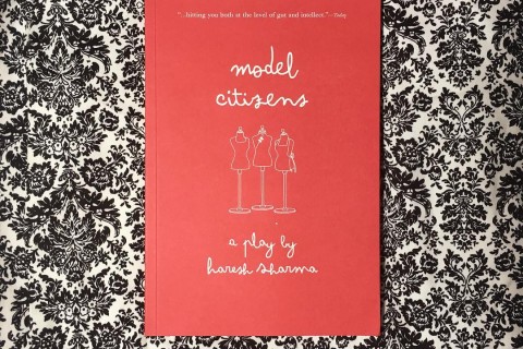 [Curious Reads] Model Citizens by Haresh Sharma