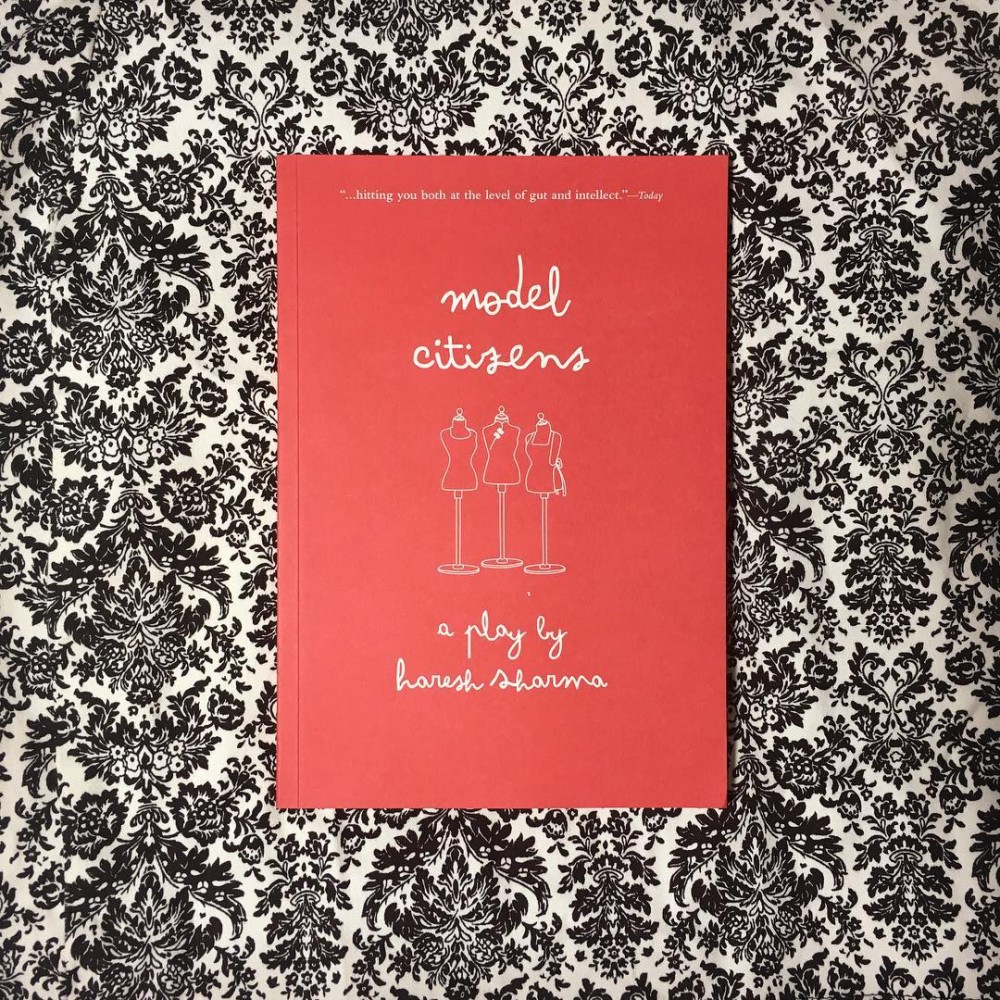 11 20170731 ar x curiousbookreviewer model citizens