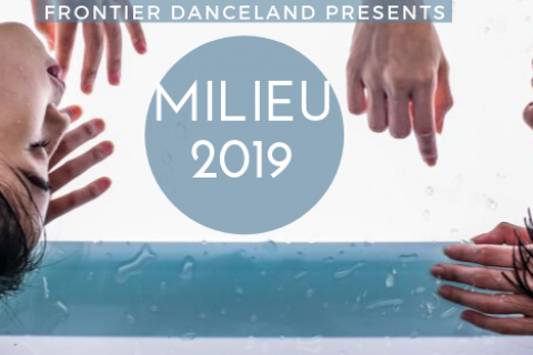 MILIEU 2019