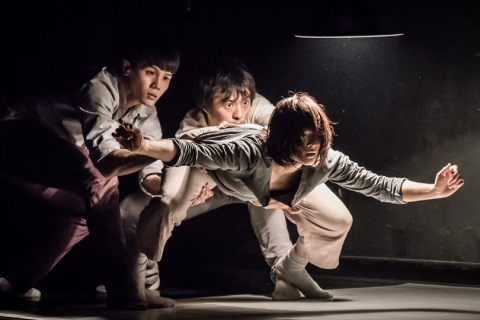 M1 CONTACT Contemporary Dance Festival 2016: T.H.E Dance Company Triple Bill – World Premiere