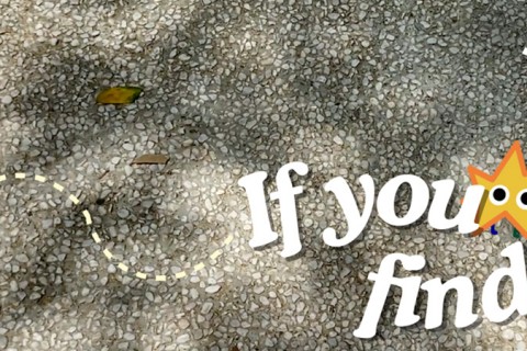 If You Find...