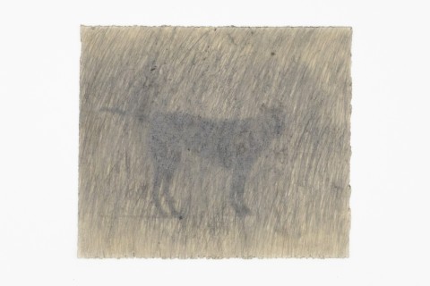 Lai Yu Tong: The Dogs