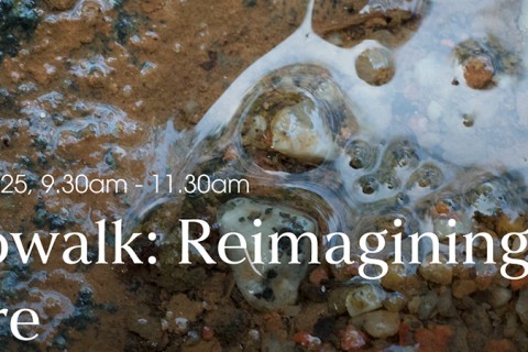 Photowalk: Reimagining Nature