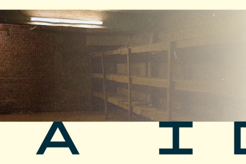 RAID