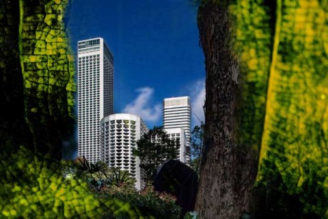Singapore Urbanscape