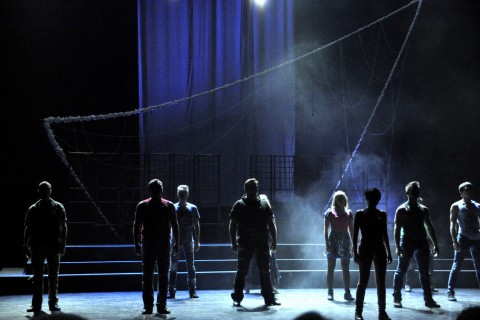“The Director & Play” Study Program
