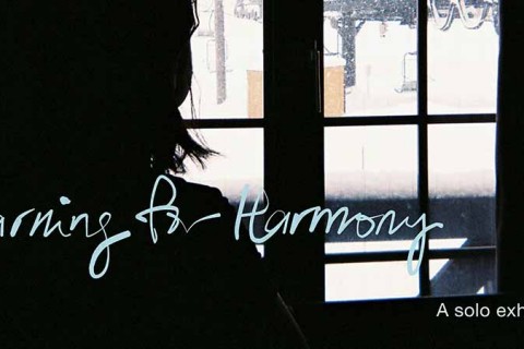 The Yearning for Harmony 