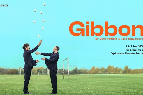 Flipside 2025: Gibbon