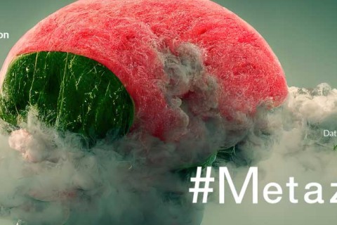 #Metazomia 