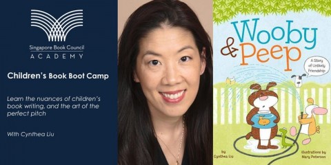 Children's Book Boot Camp
