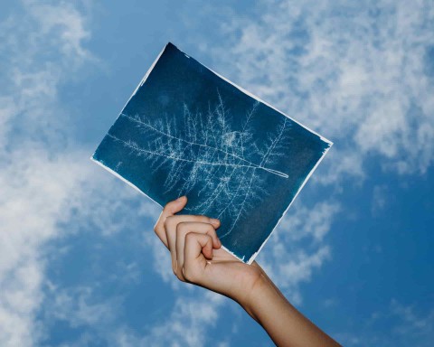 Cyanotype Class: Nature's Pleasures