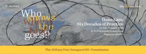 Who Knows Where The Bird Goes Dana Lam: Six Decades of Practice