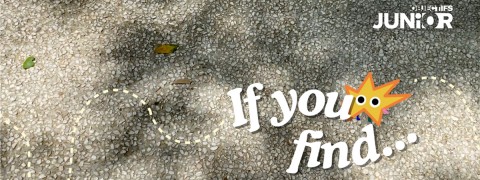 If You Find...