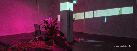 Phenomenology of Light and Rhythms of the Earth 