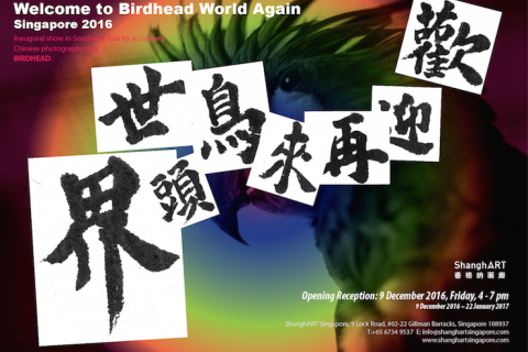 Welcome to BIRDHEAD World Again - Singapore 2016 | 欢迎再次来到鸟头世界-新加坡2016