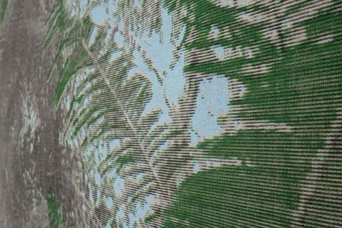 tropics, a many (con)sequence | an exhibition with Kent Chan