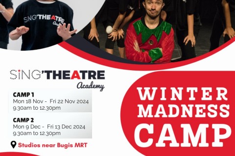 Musical Theatre Winter Madness Camp
