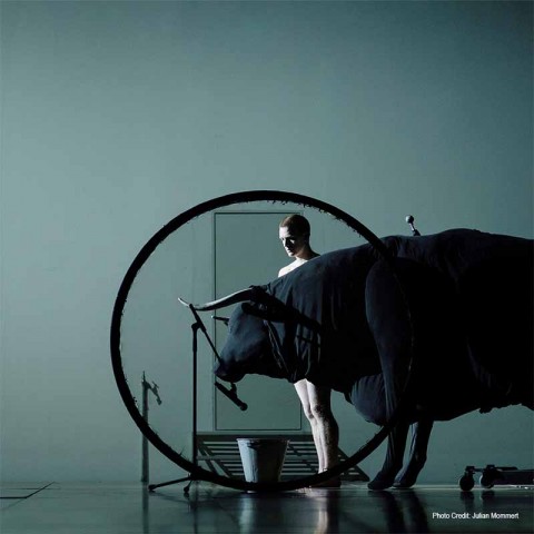 Transverse Orientation by Dimitris Papaioannou (Greece)