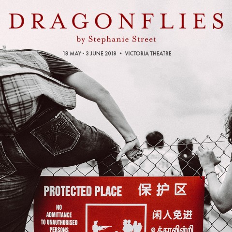 Dragonflies