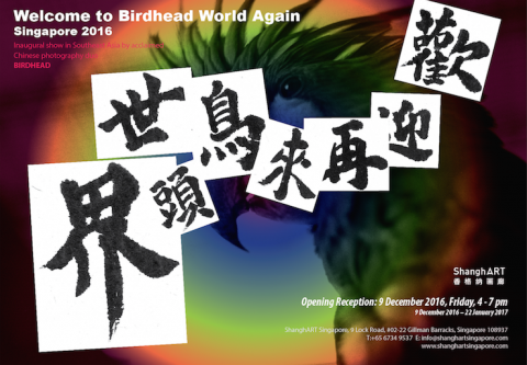 Welcome to BIRDHEAD World Again - Singapore 2016 | 欢迎再次来到鸟头世界-新加坡2016