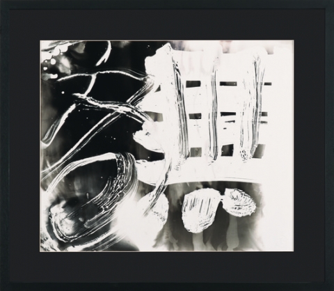 21st Century Calligraphy: Selections from the Nanshun Shanfang Collection