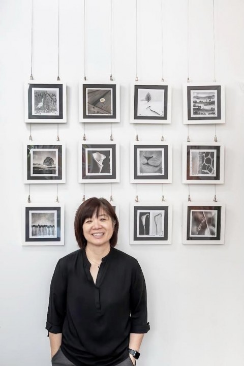 PAssionArts unveils new creative ‘Nagomi Art Series’ 