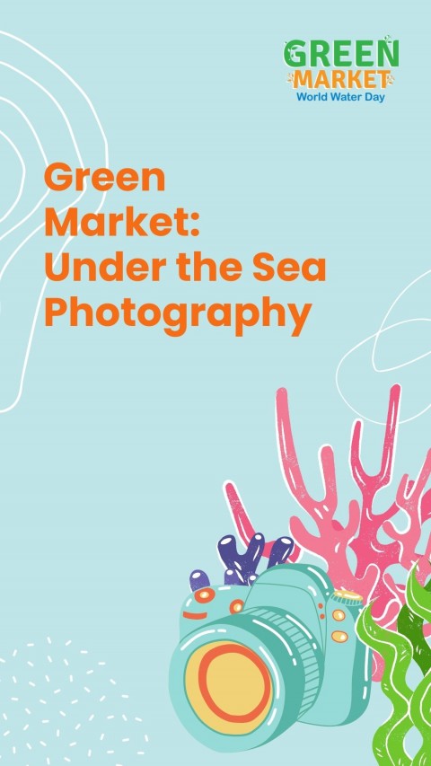 Green Market: Under the Sea Photography 