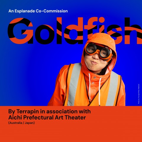 March On: Goldfish