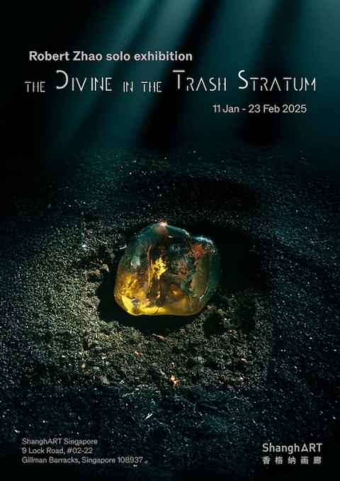 Robert Zhao: The Divine in the Trash Stratum