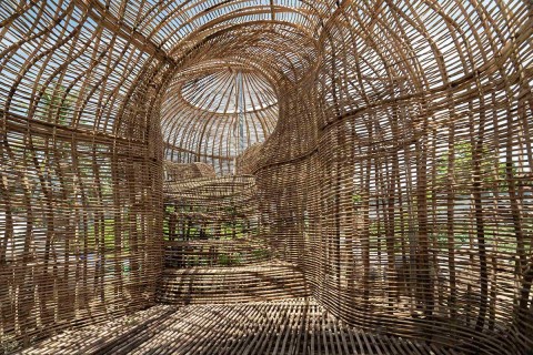 Rattan Eco Sprawl: Manifesting the Forest by Zen Teh