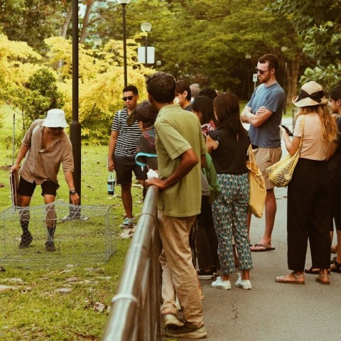 Turning Tides: A walk & conversation with Singapore’s coastal natives