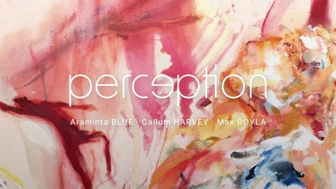 Art Works - Perception Exhibition 